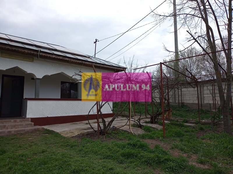 GIURGIU - COM. BUCSANI (SAT OBEDENI) CASA 2 CAM DE VANZARE